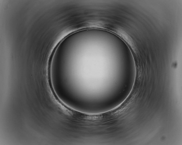 X0000098081339200804041140