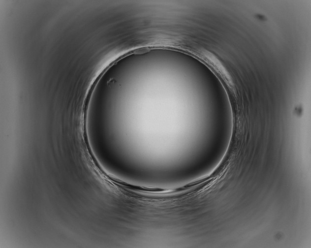 X0000098081340200804041140