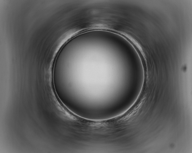 X0000098081341200804041140
