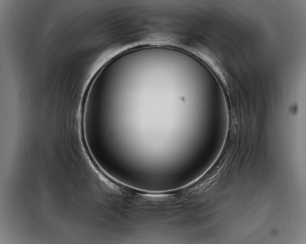 X0000098081343200804041140