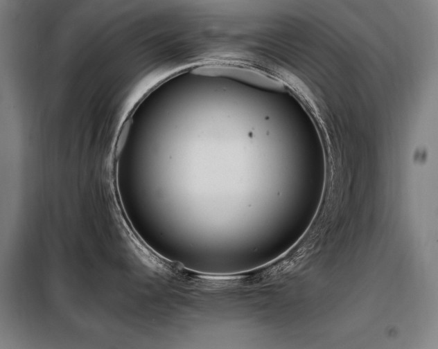 X0000098081344200804041140