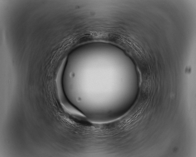 X0000098081345200804041139