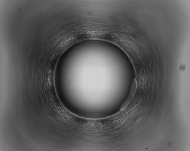 X0000098081346200804041139
