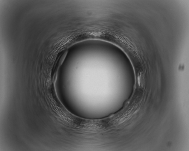 X0000098081347200804041139