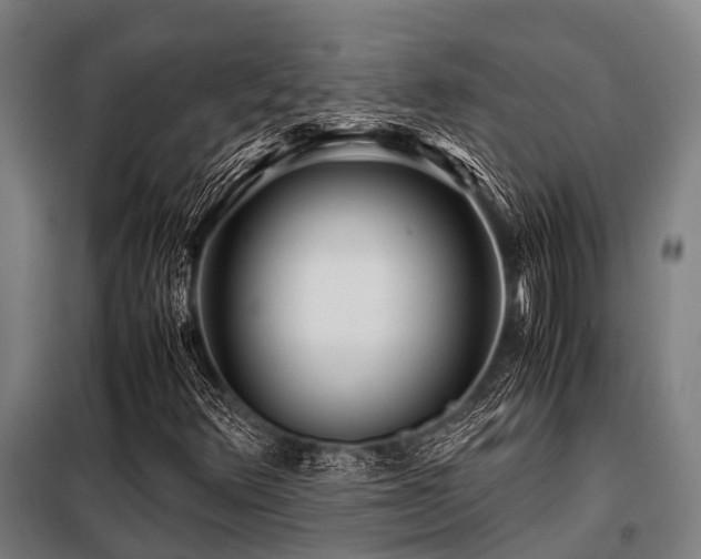 X0000098081348200804041139