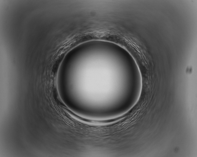 X0000098081349200804041139