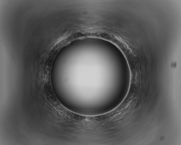 X0000098081350200804041139