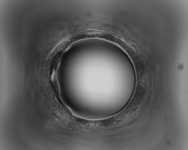 X0000098081351200804041139