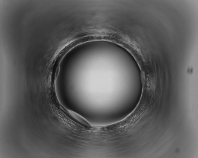X0000098081352200804041139