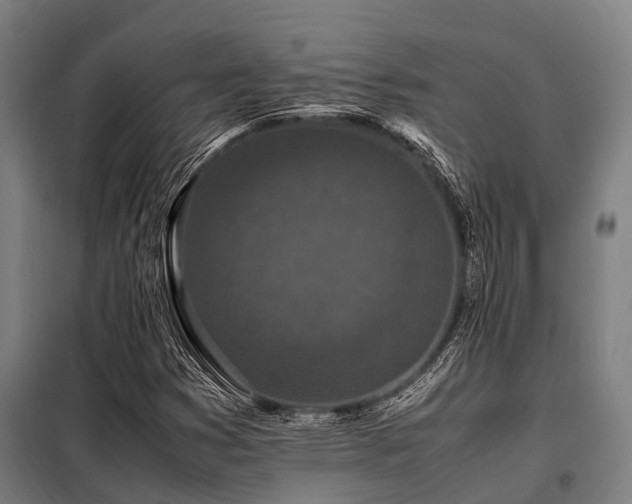 X0000098081353200804041139