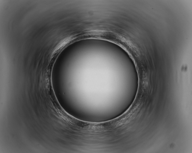X0000098081354200804041139