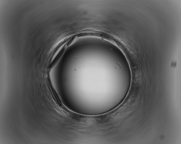 X0000098081355200804041139
