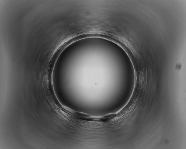 X0000098081356200804041139