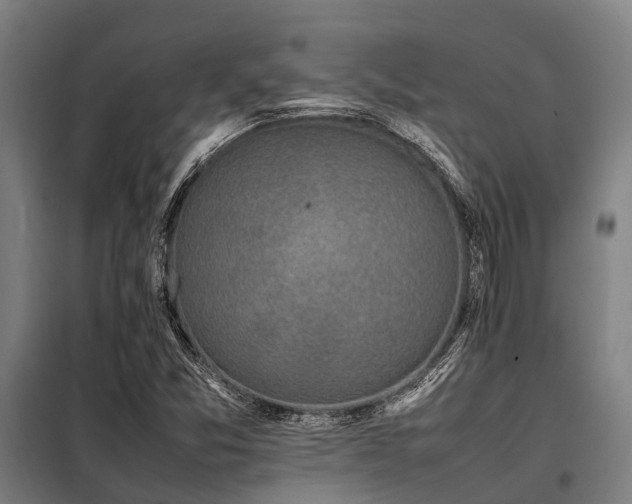 X0000098081357200804041139