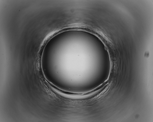 X0000098081358200804041139