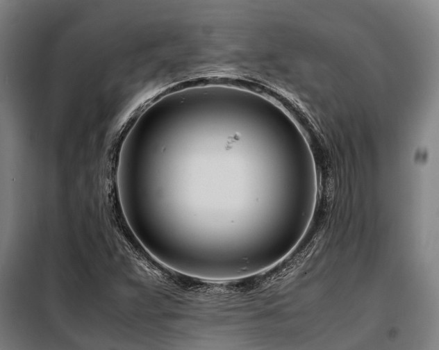 X0000098081359200804041139