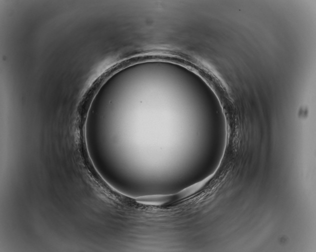 X0000098081360200804041139