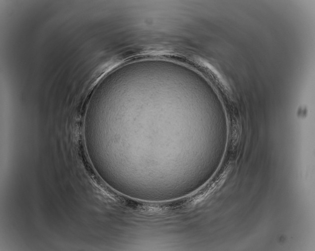 X0000098081361200804041139