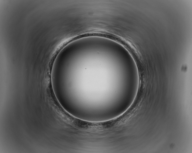 X0000098081363200804041139