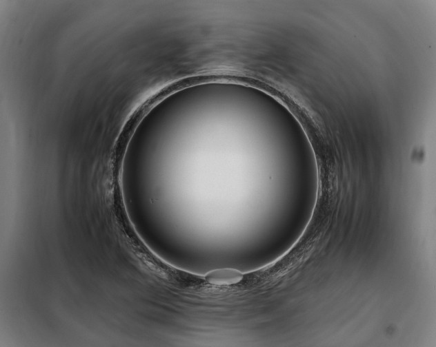 X0000098081364200804041139