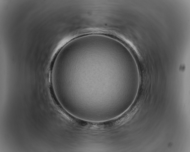 X0000098081365200804041139