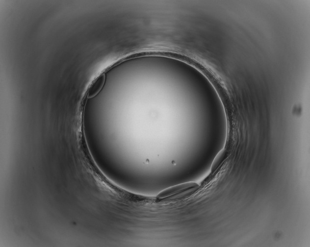 X0000098081366200804041139