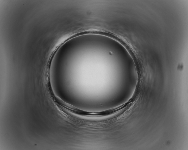 X0000098081367200804041139