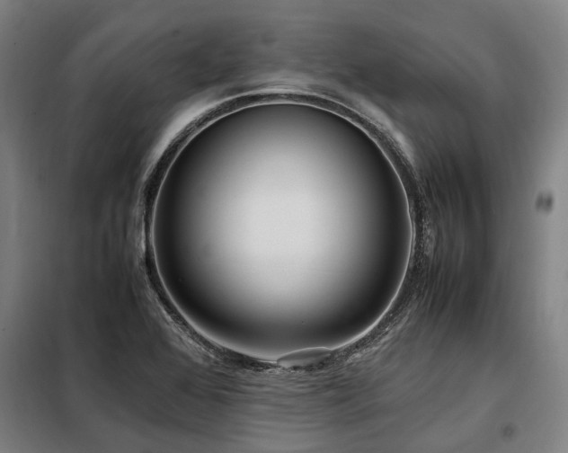 X0000098081368200804041139