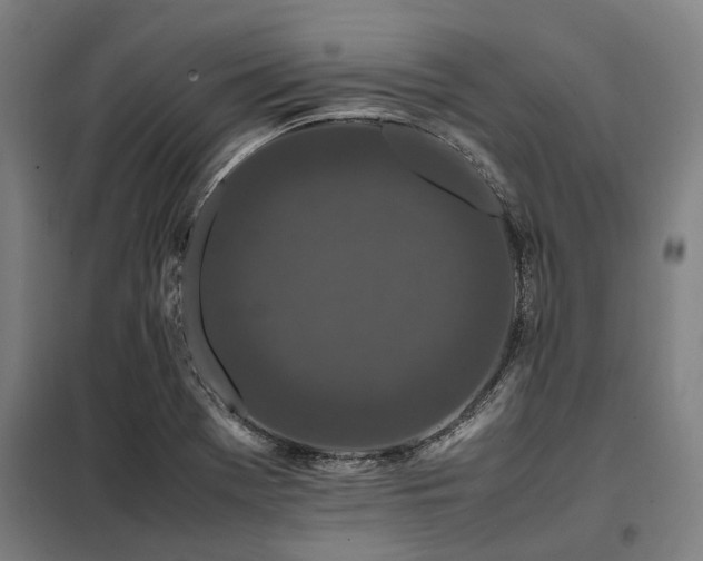 X0000098081369200804041139