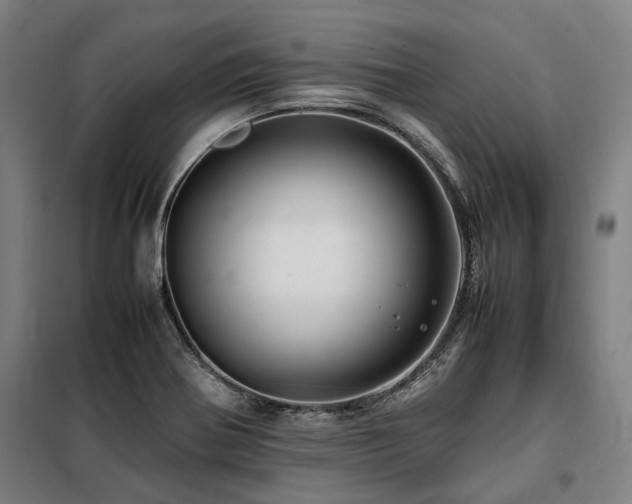 X0000098081370200804041139