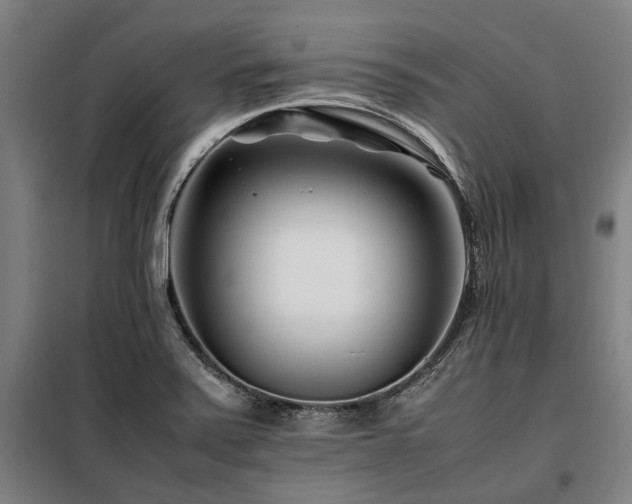 X0000098081371200804041139