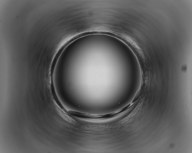 X0000098081372200804041139