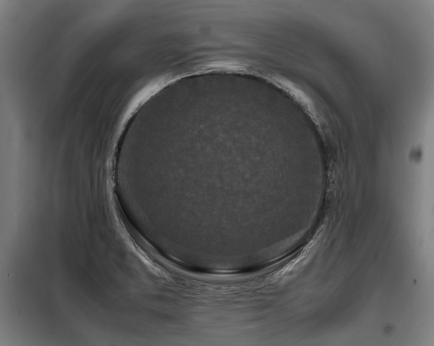 X0000098081373200804041139