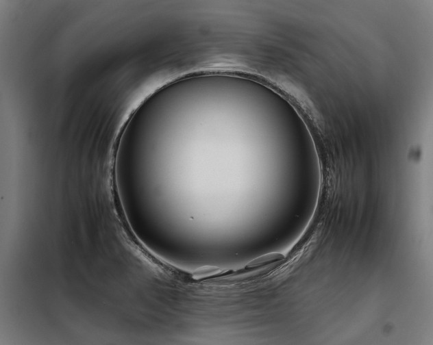 X0000098081374200804041139