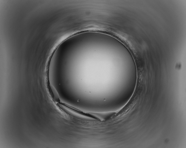 X0000098081375200804041139