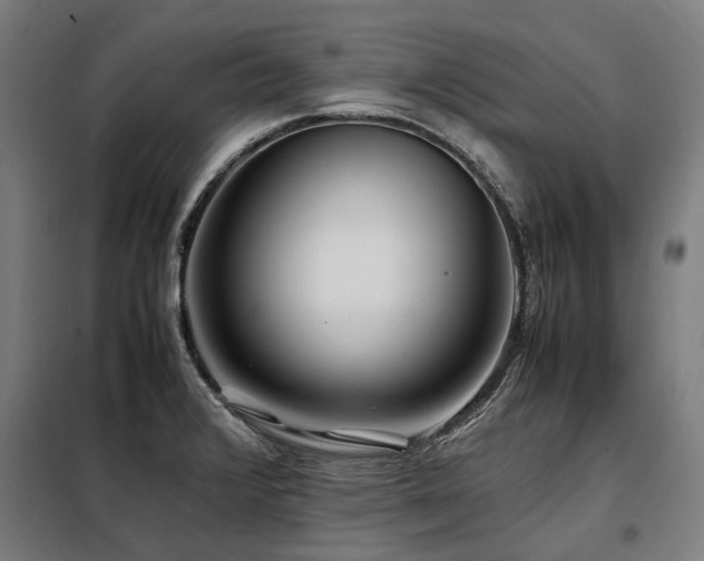X0000098081376200804041139