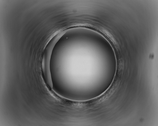 X0000098081377200804041139
