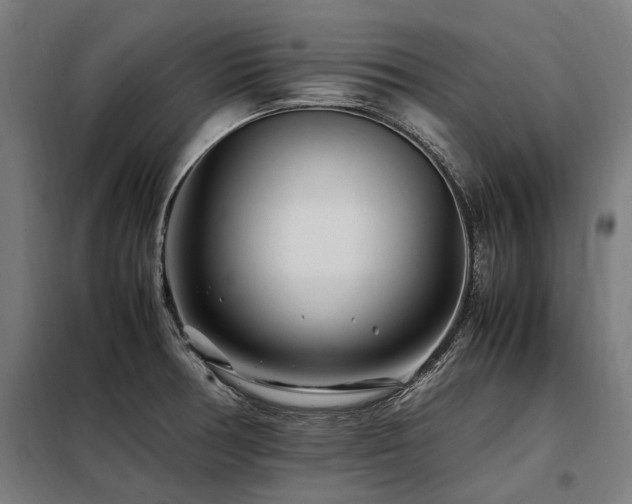 X0000098081378200804041139