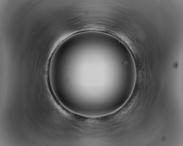 X0000098081379200804041139