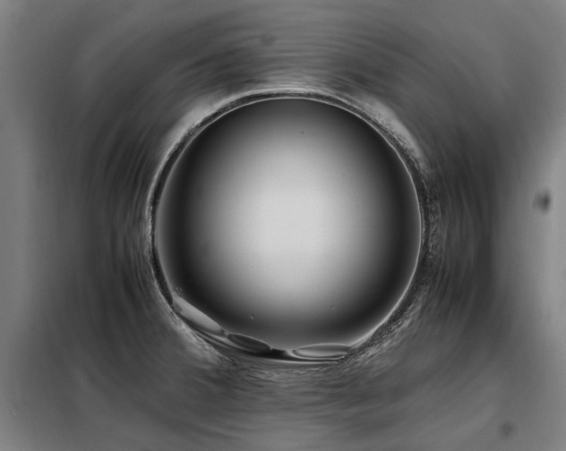 X0000098081380200804041139