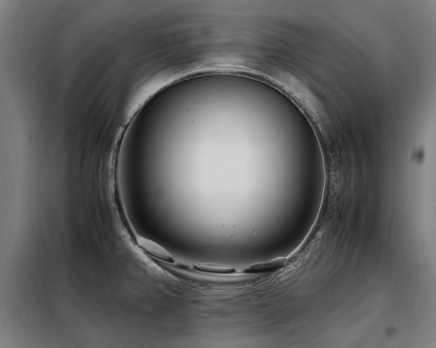 X0000098081382200804041139