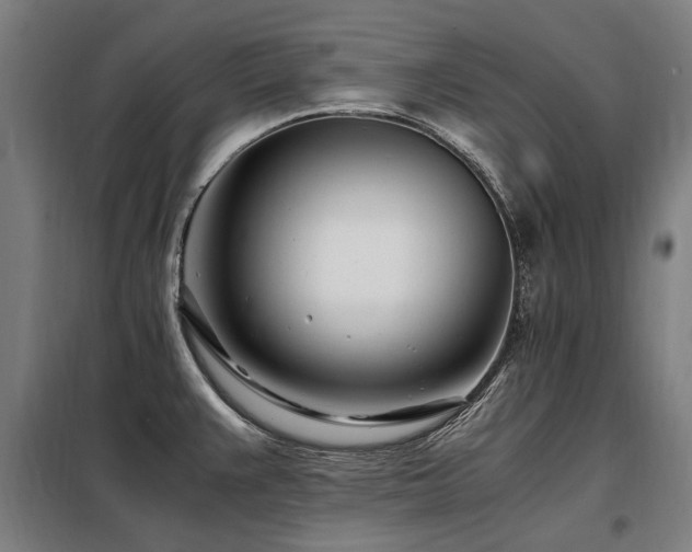 X0000098081383200804041139