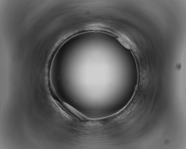 X0000098081384200804041139