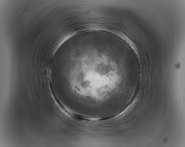 X0000098081385200804041139
