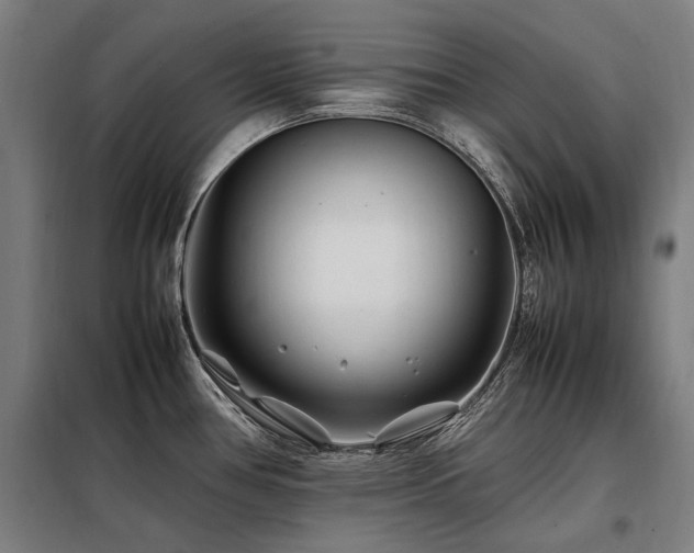 X0000098081386200804041138