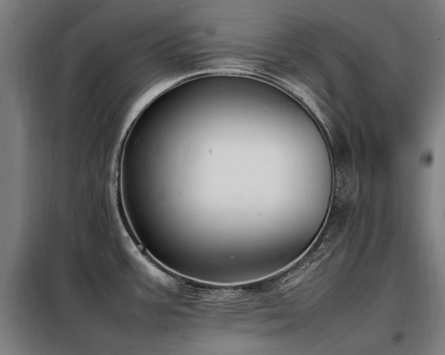 X0000098081387200804041138