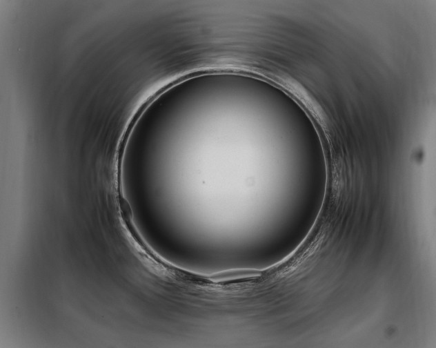 X0000098081388200804041138