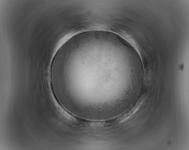 X0000098081389200804041138