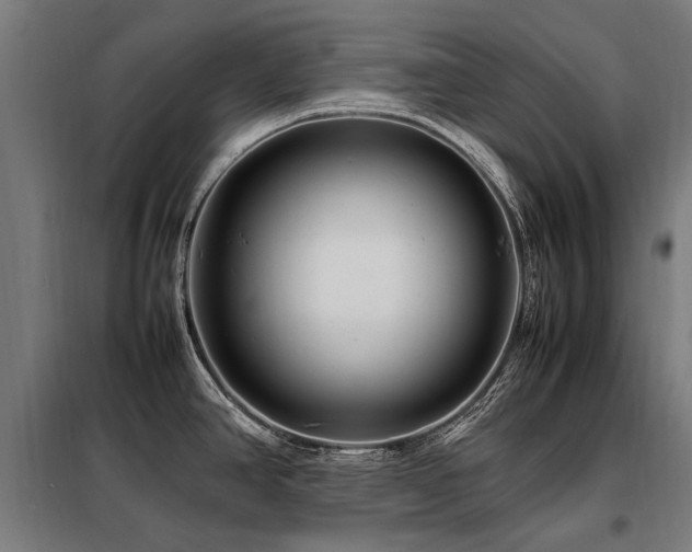 X0000098081390200804041138