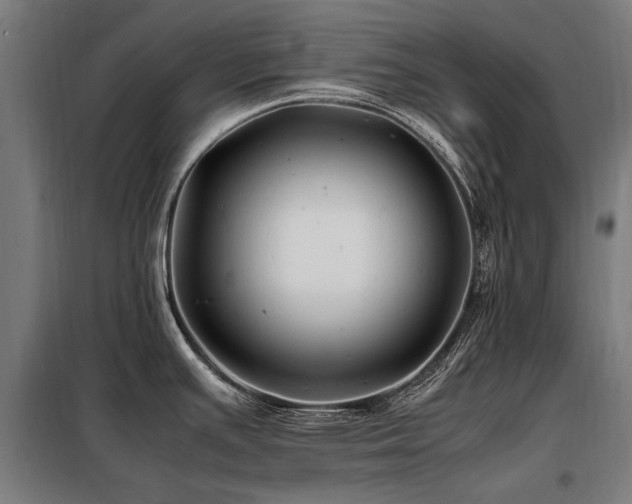 X0000098081391200804041138